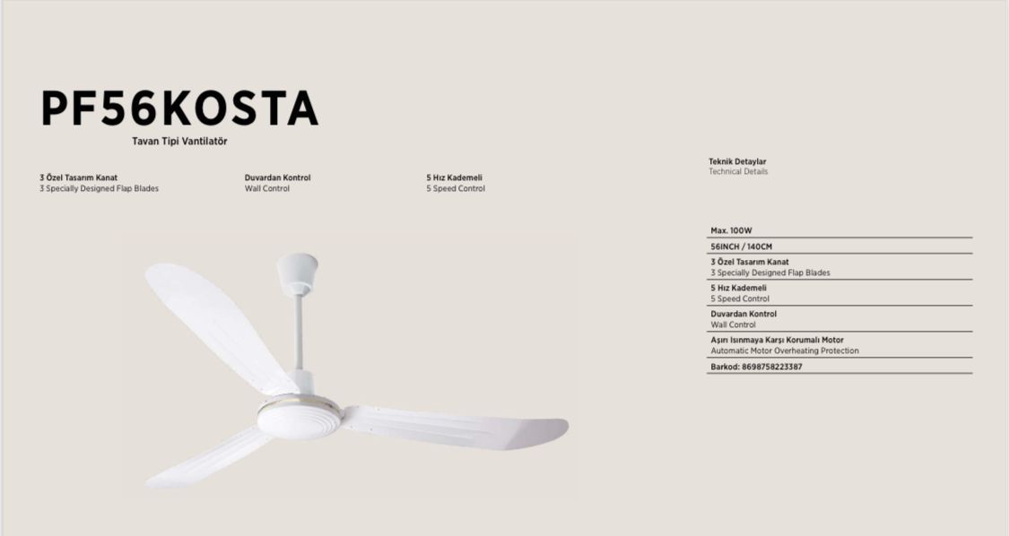 Raks PF 56 KOSTA Tavan Tipi Vantilatör 100W